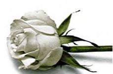 Symbole